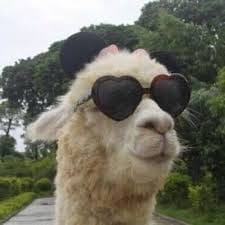 Habiburrahman El avatar
