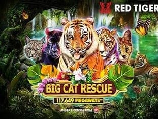 Big Cat Rescue Megaways™ screenshot
